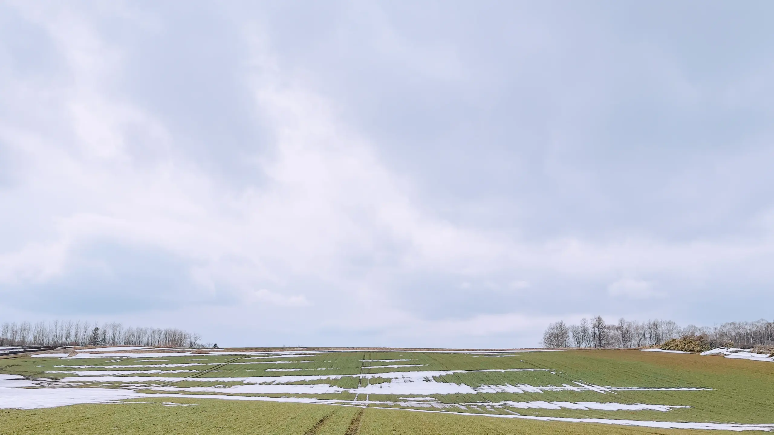 空と畑が広がる画像
