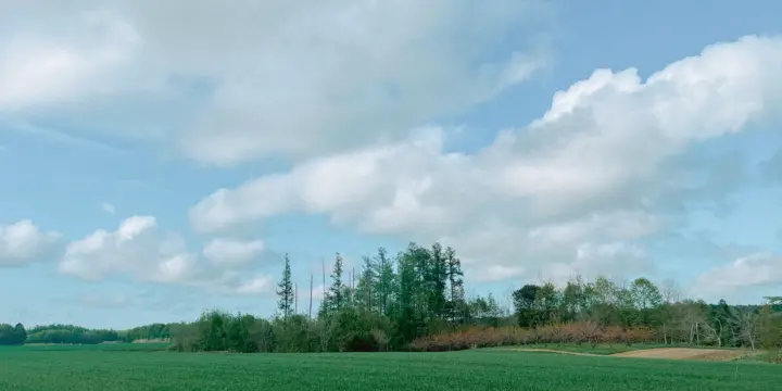 田舎の空と畑の風景